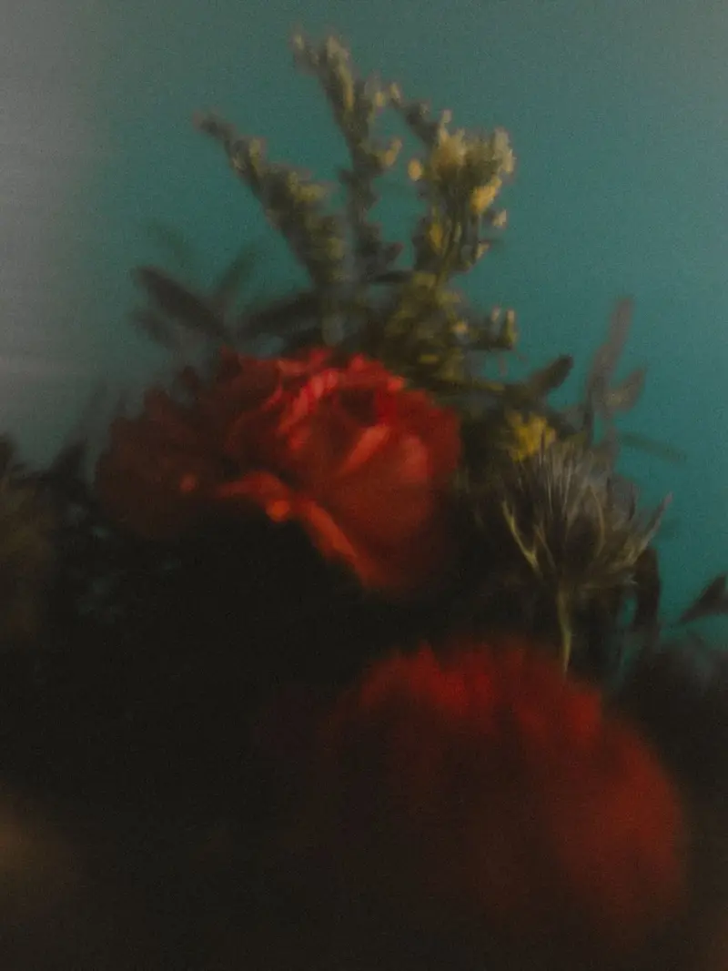 Quand on m’offre des fleurs et que j’ai 3 minutes devant moi 🤭