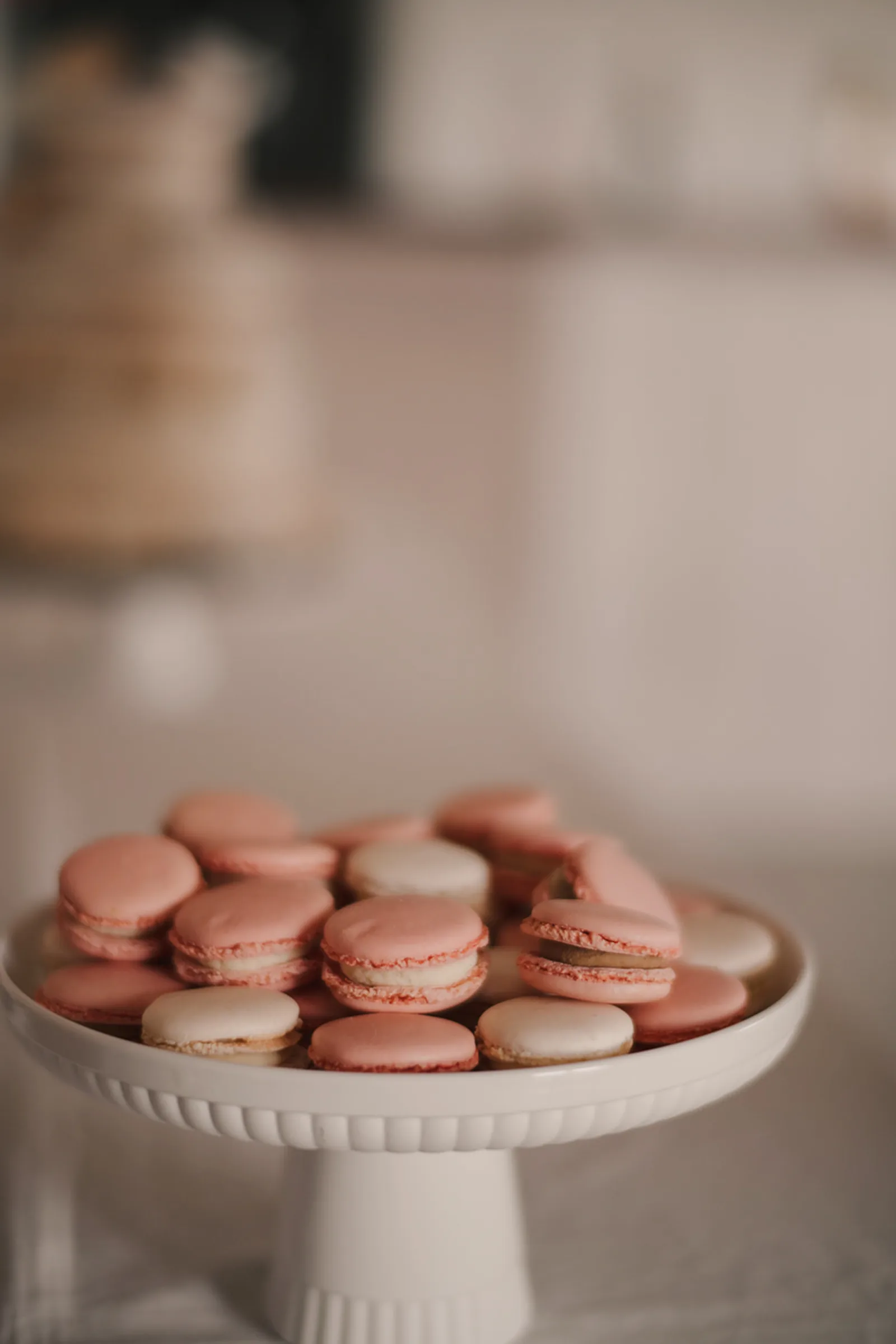 Photographie événements 15