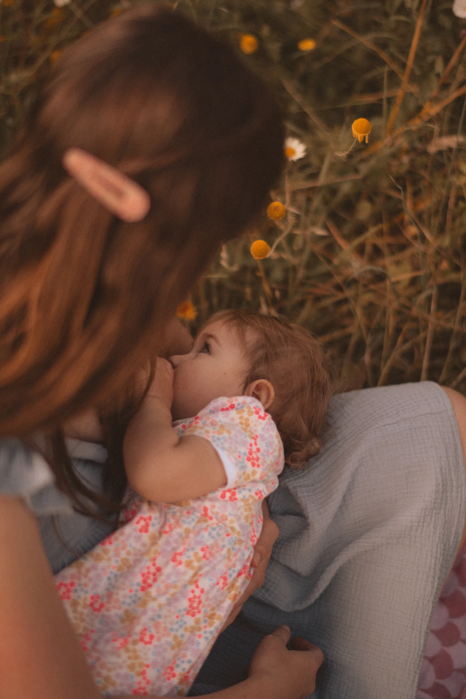 Photographie famille 39