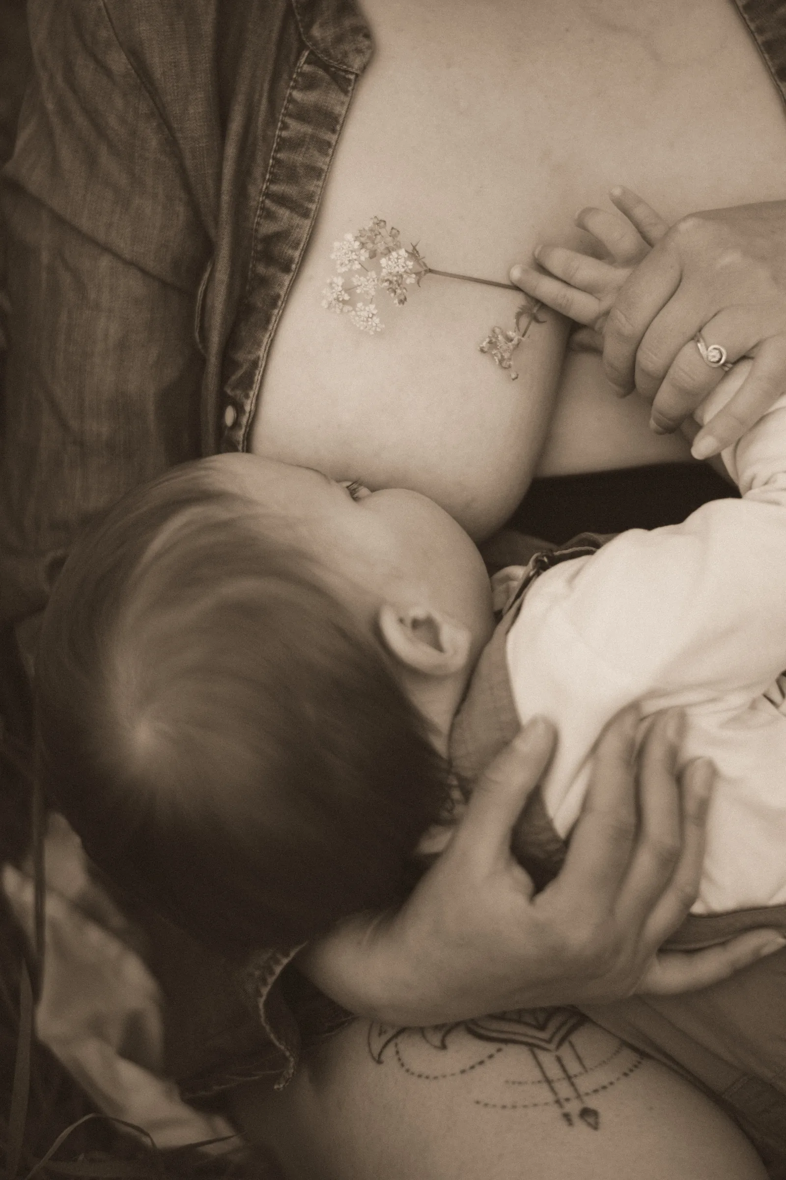 Photographie famille 65