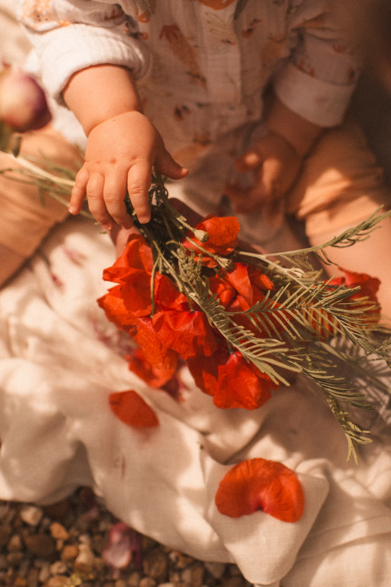 Photographie famille 72