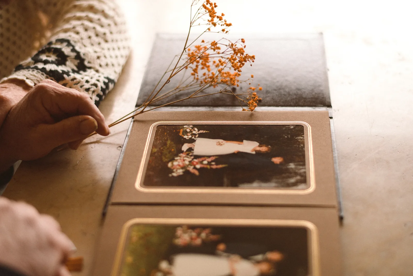 Photographie famille 83
