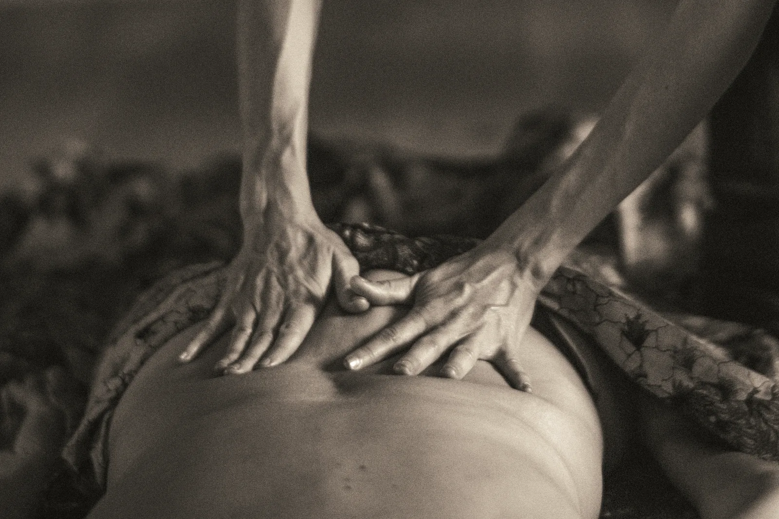 Photographie métier 41