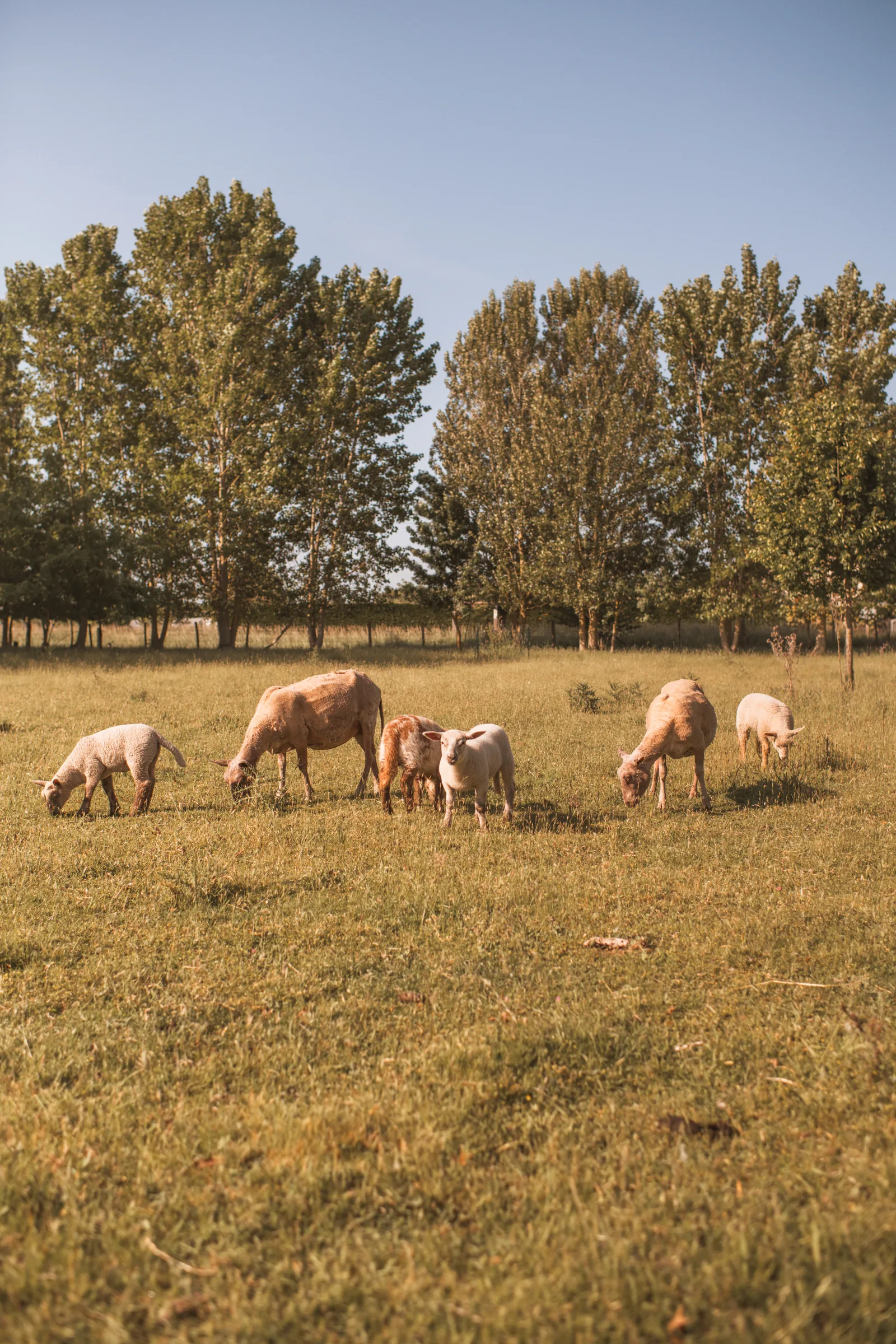 Photographie métier 75