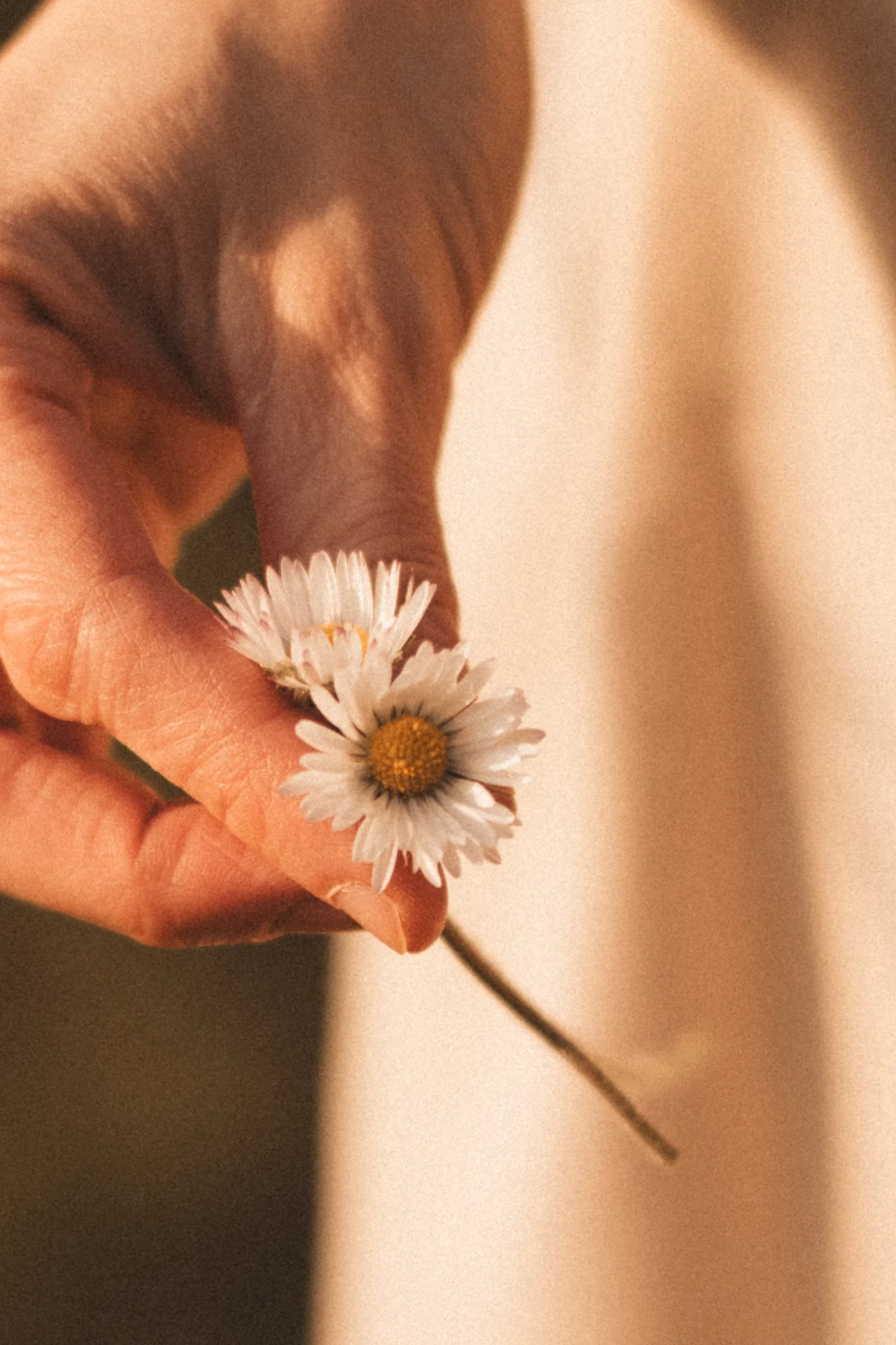 Photographie portrait de femme 06