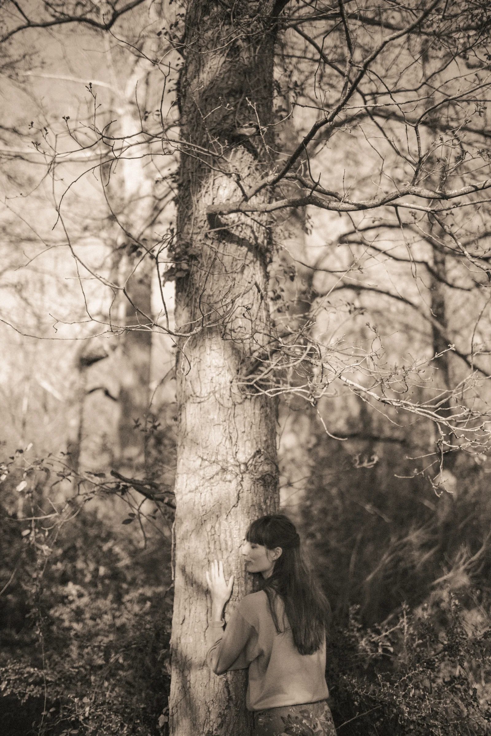 Photographie portrait de femme 14